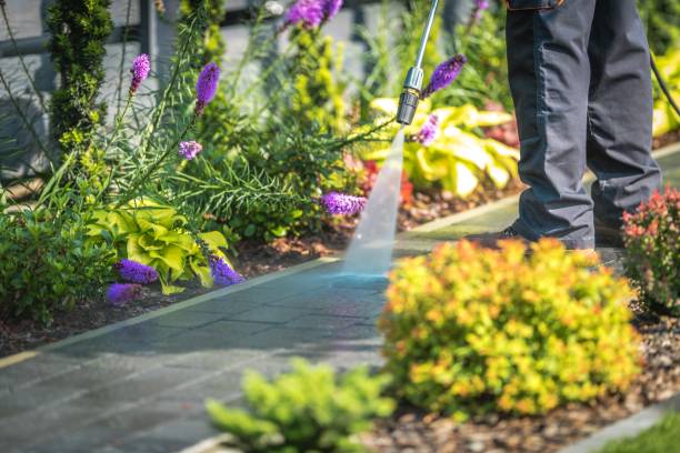 Best Roof Washing  in Troy Hills, NJ